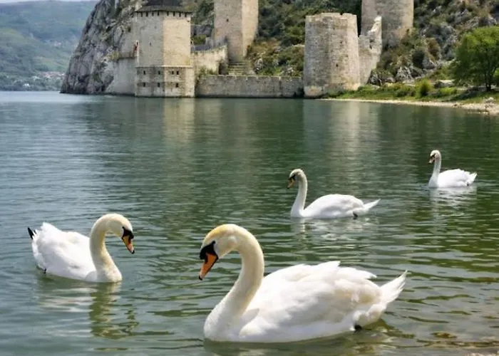 아파트 Hill 3 골루바츠